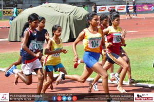 12140061_10154304811919251_2894807349420055148_o 